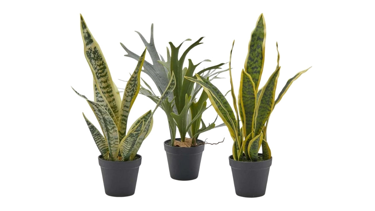 kunstplanten