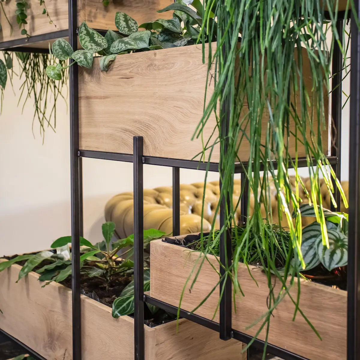 Stalen roomdivider met houten plantenbakken